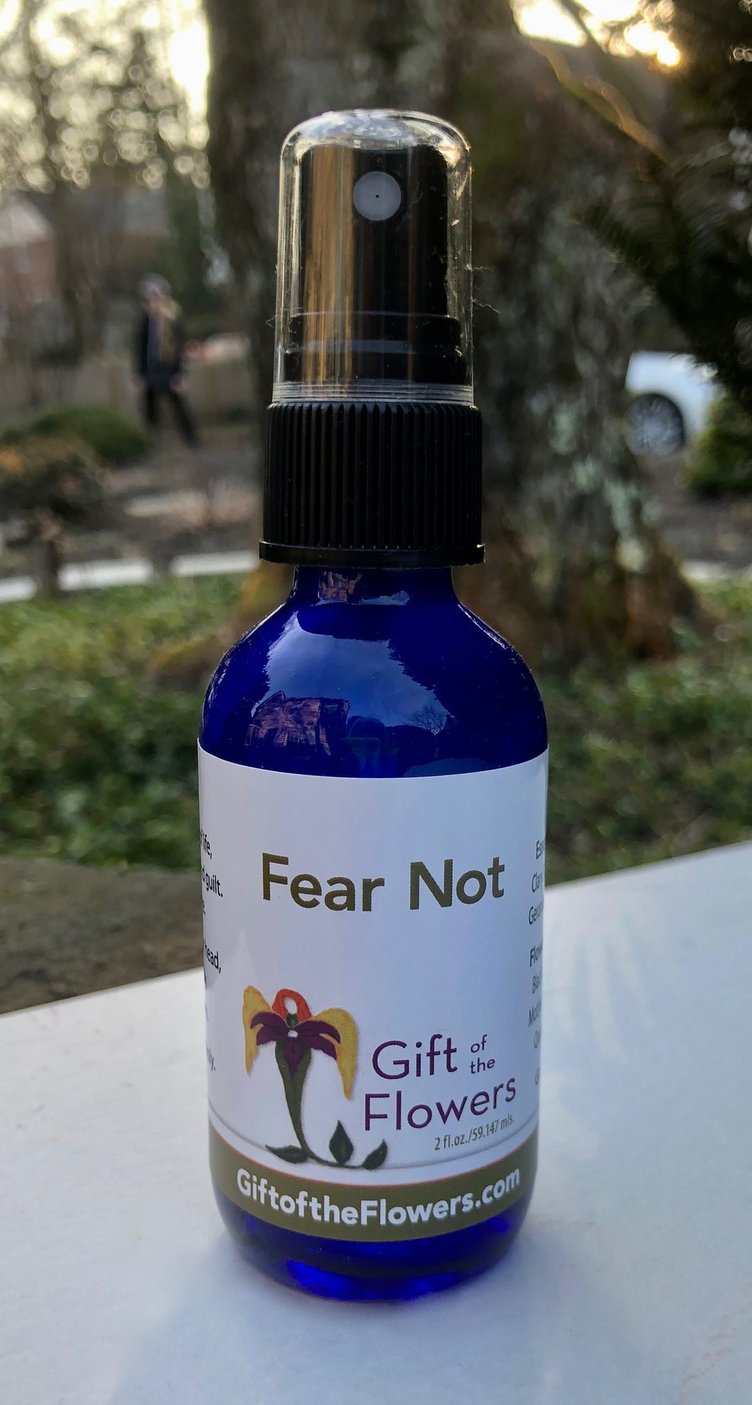 Fear Not Spray 2 oz.