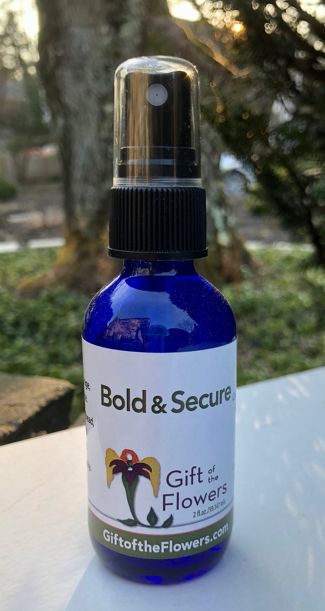 Bold and Secure Spray  2 oz.