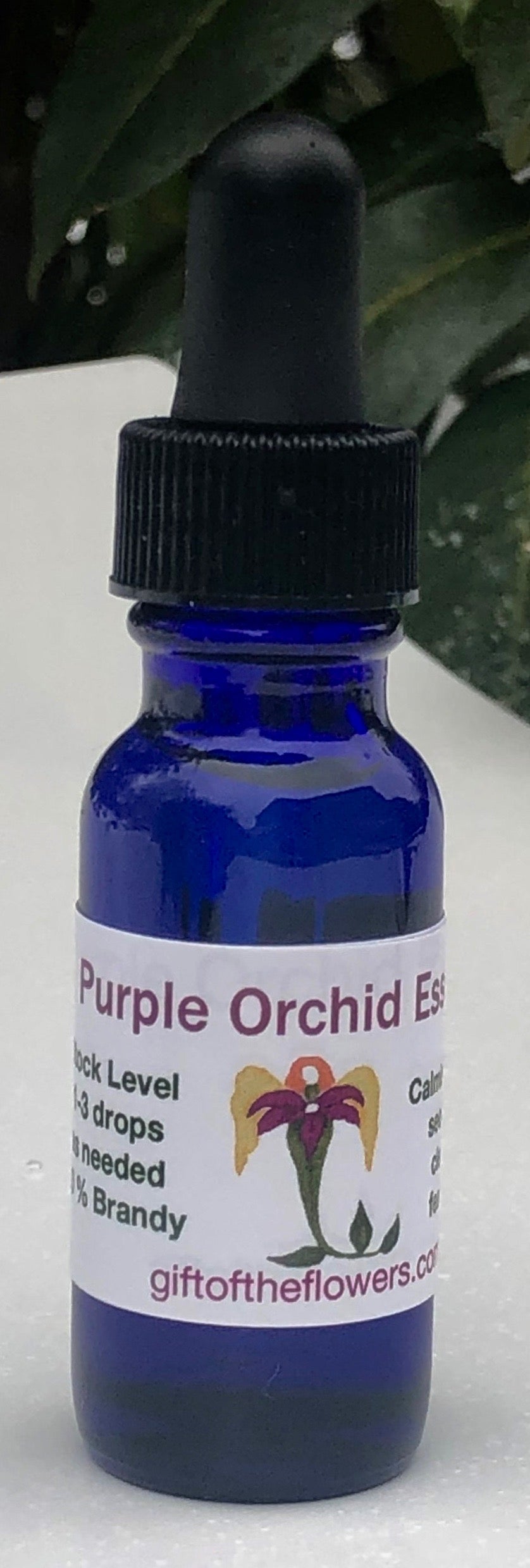 Purple Orchid Essence  1/2 oz.